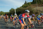 gal/2006/07 - Fondo della Valdarbia II serie/2 - Buonconvento/_thb_DSC_0138-01.jpg
